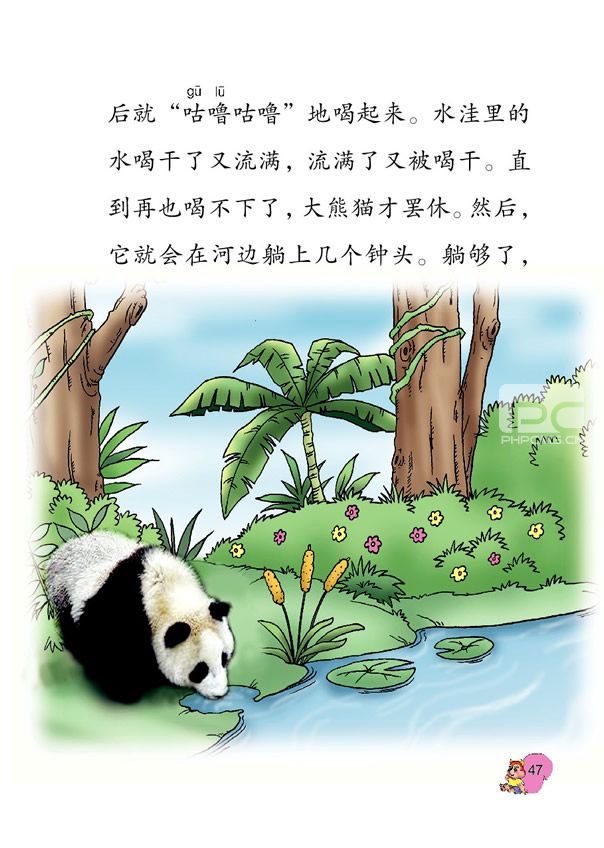 西师版第五册:《可爱的大熊猫》课文