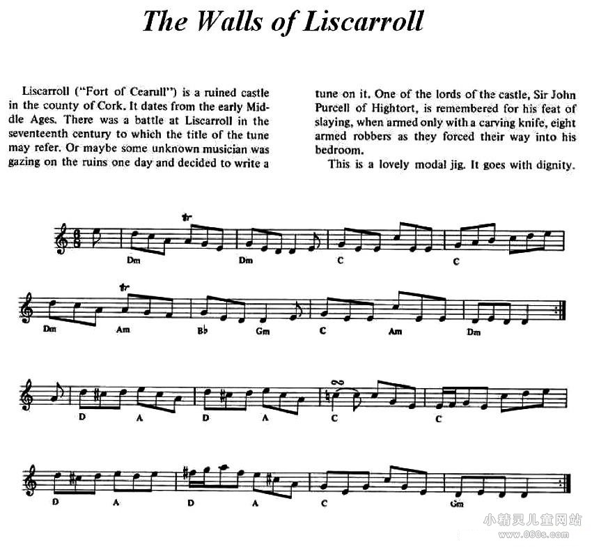 The Walls of Liscarroll 裩