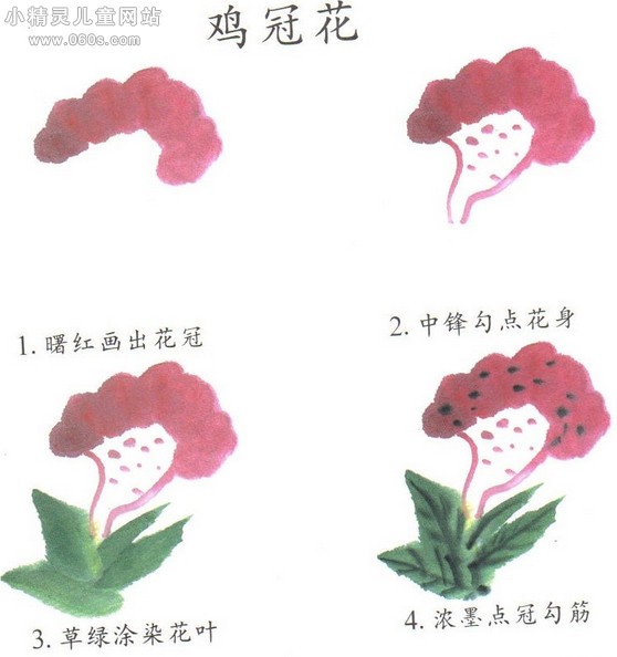 国画花卉鸡冠花的画法步骤图文介绍