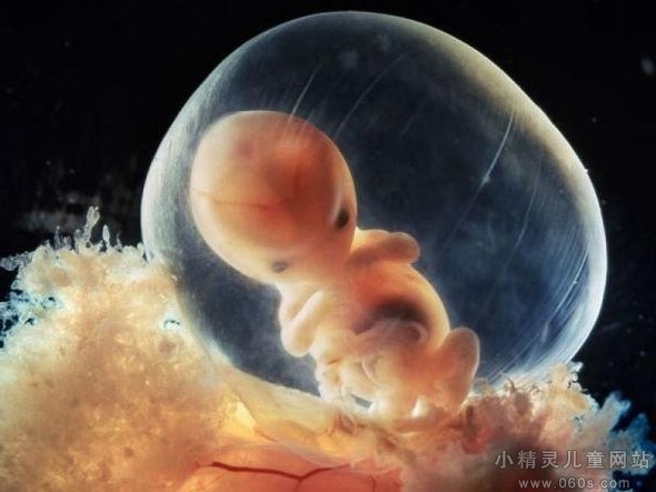 测试胎儿性别的26种方法