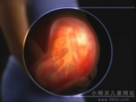 孕期胎儿胎动的最佳测量方式有哪些