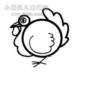 幼儿园动物简笔画教案《火鸡》