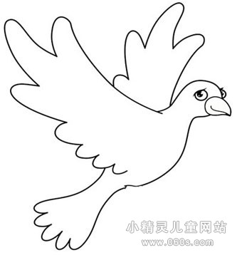 幼儿园动物简笔画教案《飞翔的鸽子》