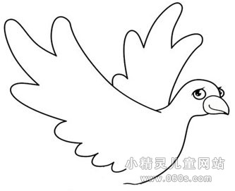 幼儿园动物简笔画教案《飞翔的鸽子》