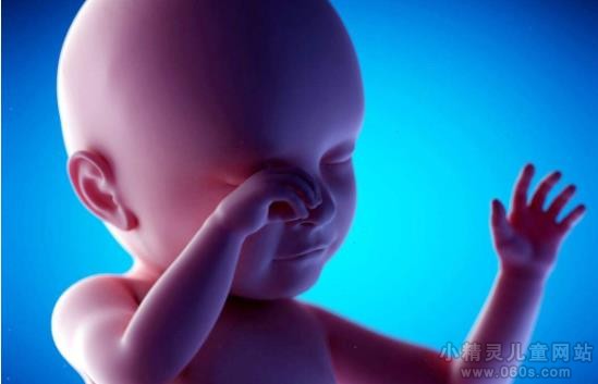 10月胎儿发育情况 10个月胎儿发育过程图