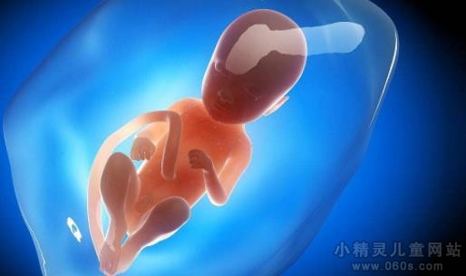 胎儿性别早知道 胎儿性别几个月可以看出来