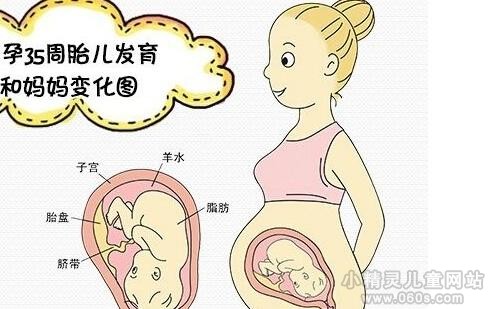 怀孕9月胎儿发育标准 孕35周胎儿发育指标